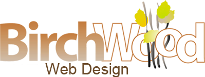 web design, search engine optimization, south shore and cape cod, ma